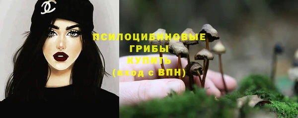 марки lsd Каменногорск