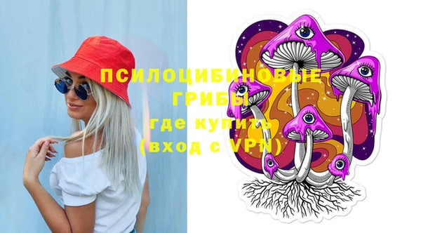 СК Инта