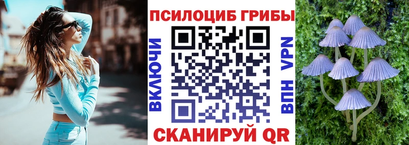 купить наркотик Октябрьский Псилоцибиновые грибы GOLDEN TEACHER